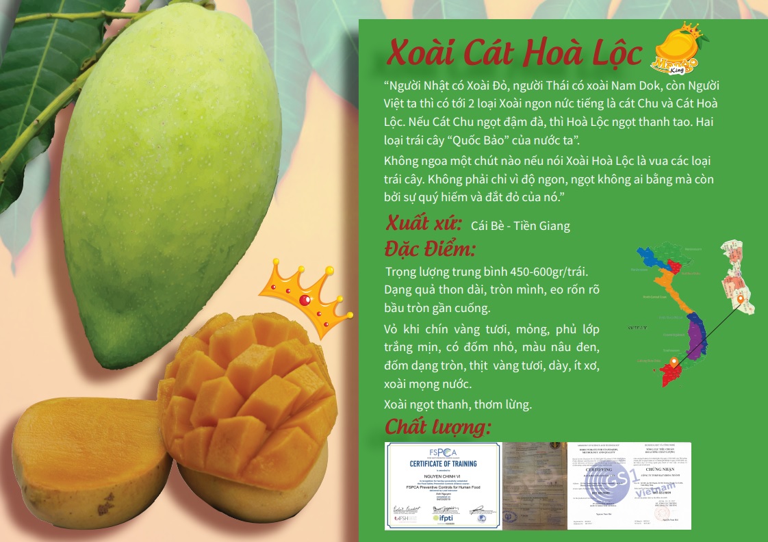 Xoài Cát Hòa Lộc