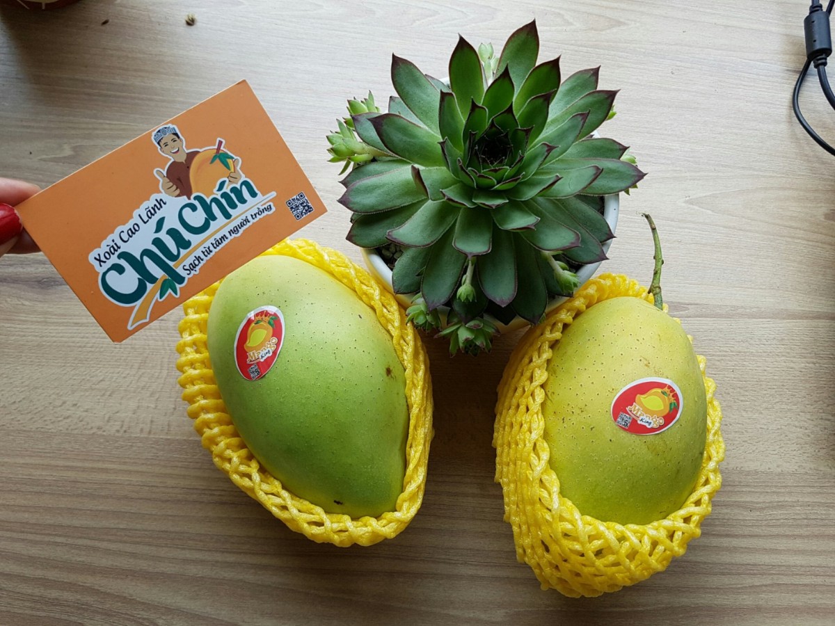 Xoài Chú Chín – Sạch từ tâm người trồng