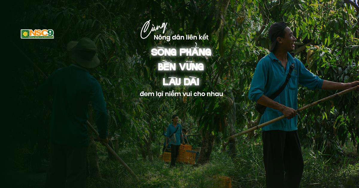 Liên kết cùng nông dân