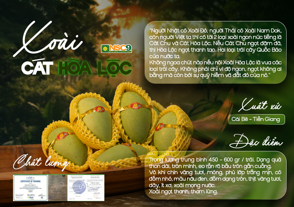 Xoài Cát Hòa Lộc
