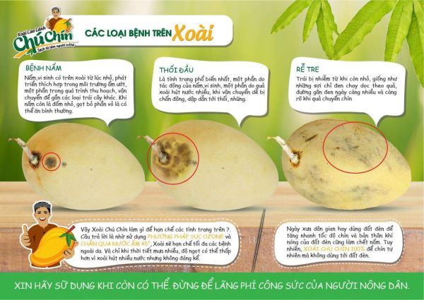 Dole's minecraft campaign