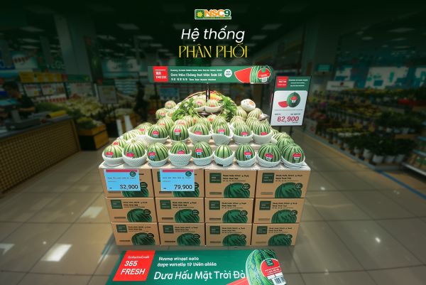 Hệ thống phân phối