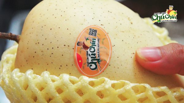 Chính sách đảm bảo chất lượng